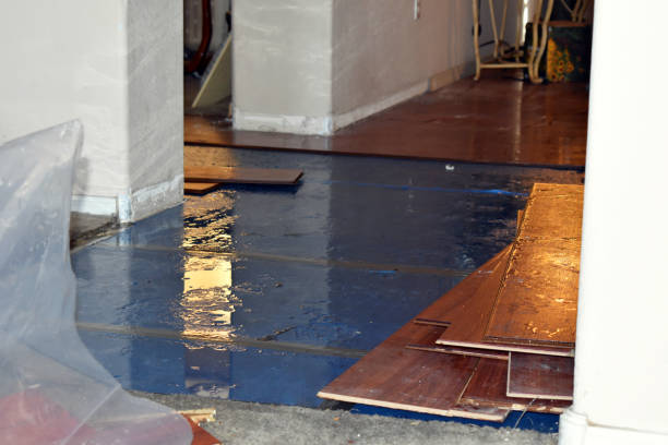 Professional Water Removal technician working in Hood, CA